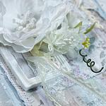     
: image01x1080.jpg
: 14
:	104.2 
ID:	11874142