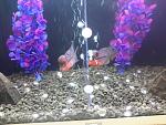     
: 20170222_202352.jpg
: 47
:	148.2 
ID:	11875560
