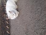     
: 20170224_152713.jpg
: 18
:	261.4 
ID:	11879143