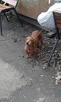     
: 20170223_154030.jpg
: 15
:	96.6 
ID:	11879152