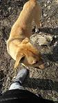     
: image1.jpg
: 28
:	137.5 
ID:	11881972