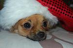     
: DSC_9354.jpg
: 27
:	99.0 
ID:	1188203
