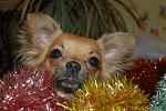     
: DSC_9318.jpg
: 33
:	137.3 
ID:	1188205
