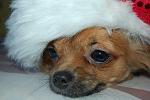     
: DSC_9355.jpg
: 29
:	112.9 
ID:	1188218