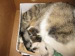     
: IMG_8276.jpg
: 45
:	187.3 
ID:	11883882