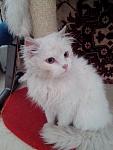     
: IMG_20170226_150734.jpg
: 15
:	68.9 
ID:	11885974