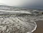     
: IMG_9255.jpg
: 16
:	202.1 
ID:	11889038