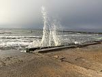     
: IMG_9256.jpg
: 18
:	195.2 
ID:	11889041