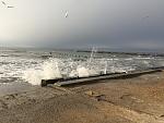     
: IMG_9257.jpg
: 19
:	178.7 
ID:	11889043