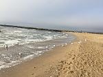     
: IMG_9259.jpg
: 19
:	173.6 
ID:	11889052