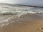    
: IMG_9260.jpg
: 17
:	214.4 
ID:	11889055