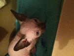     
: IMG_6307.jpg
: 36
:	128.1 
ID:	11891717