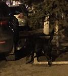     
: FullSizeRender-1.jpg
: 34
:	75.0 
ID:	11894495