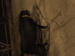     
: IMG_9399.jpg
: 32
:	91.5 
ID:	11894497