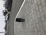    
: IMG_3132.jpg
: 105
:	178.7 
ID:	11895825