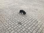     
: IMG_3133.jpg
: 101
:	220.1 
ID:	11895827