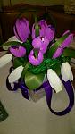     
: WP_20170303_01_42_54_Pro.jpg
: 7
:	76.2 
ID:	11897089