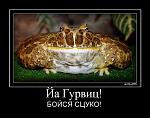     
: tmp8G8jX0.jpg
: 48
:	62.9 
ID:	1189798