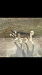     
: IMG_3579.jpg
: 12
:	46.3 
ID:	11898108