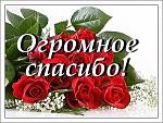     
: i (1).jpg
: 31
:	21.3 
ID:	11900648