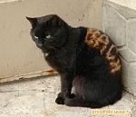     
: 3770018_large.jpg
: 56
:	36.6 
ID:	1190348