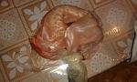     
: attachment.jpg
: 12
:	150.6 
ID:	11903638