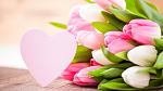    
: www.GetBg.net_2017Holidays___International_Womens_Day_Bouquet_of_pink_tulips_and_heart_on_March_.jpg
: 11
:	67.2 
ID:	11905541