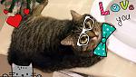     
: IMG_0471.jpg
: 3
:	112.3 
ID:	11909031