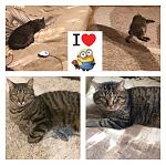     
: IMG_0213.JPG
: 4
:	259.0 
ID:	11909033