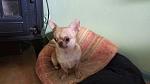     
: IMG_2296.JPG
: 21
:	144.9 
ID:	11910634