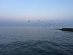     
: IMG_5438.jpg
: 24
:	77.2 
ID:	11910814