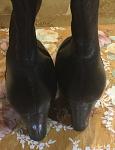     
: IMG_3730.JPG
: 4
:	85.3 
ID:	11910843