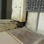     
: IMG_3032.jpg
: 74
:	115.9 
ID:	11914517