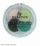     
: Essence Quattro 13.jpg
: 6
:	19.5 
ID:	11917496
