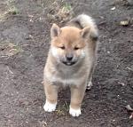     
: IMG_7476.JPG
: 38
:	116.4 
ID:	11918733