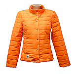     
: 727005084_w200_h200__mg_4933_kopiya.png
: 17
:	45.8 
ID:	11925017