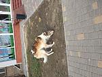     
: IMG_2779.jpg
: 30
:	197.7 
ID:	11927700