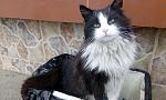     
: IMG_20170317_083648.jpg
: 7
:	105.5 
ID:	11929410