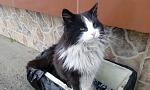     
: IMG_20170317_083640.jpg
: 9
:	114.9 
ID:	11929411