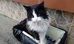     
: IMG_20170317_083641.jpg
: 6
:	93.7 
ID:	11929412