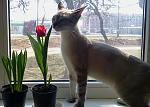     
: 2017-03-08 11.15.03-1.jpg
: 10
:	63.1 
ID:	11933290