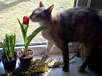     
: 2017-03-08 11.20.22-1.jpg
: 8
:	58.9 
ID:	11933293