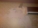     
: pltOKkOlzt8.jpg
: 72
:	23.9 
ID:	11935210