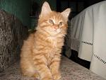     
: DSC02806.JPG
: 18
:	33.3 
ID:	1193694