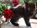     
: DSC02874.JPG
: 20
:	38.9 
ID:	1193808