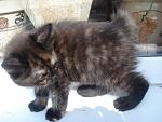     
: DSC02885.JPG
: 22
:	34.2 
ID:	1193809