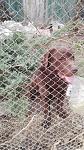     
: IMG_20170320_181016.jpg
: 18
:	133.1 
ID:	11938311