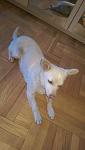     
: IMG_9235.jpg
: 17
:	50.7 
ID:	11940202