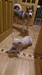     
: IMG_9238.jpg
: 16
:	53.7 
ID:	11940203