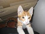     
: IMG_4037.jpg
: 34
:	114.9 
ID:	11941343